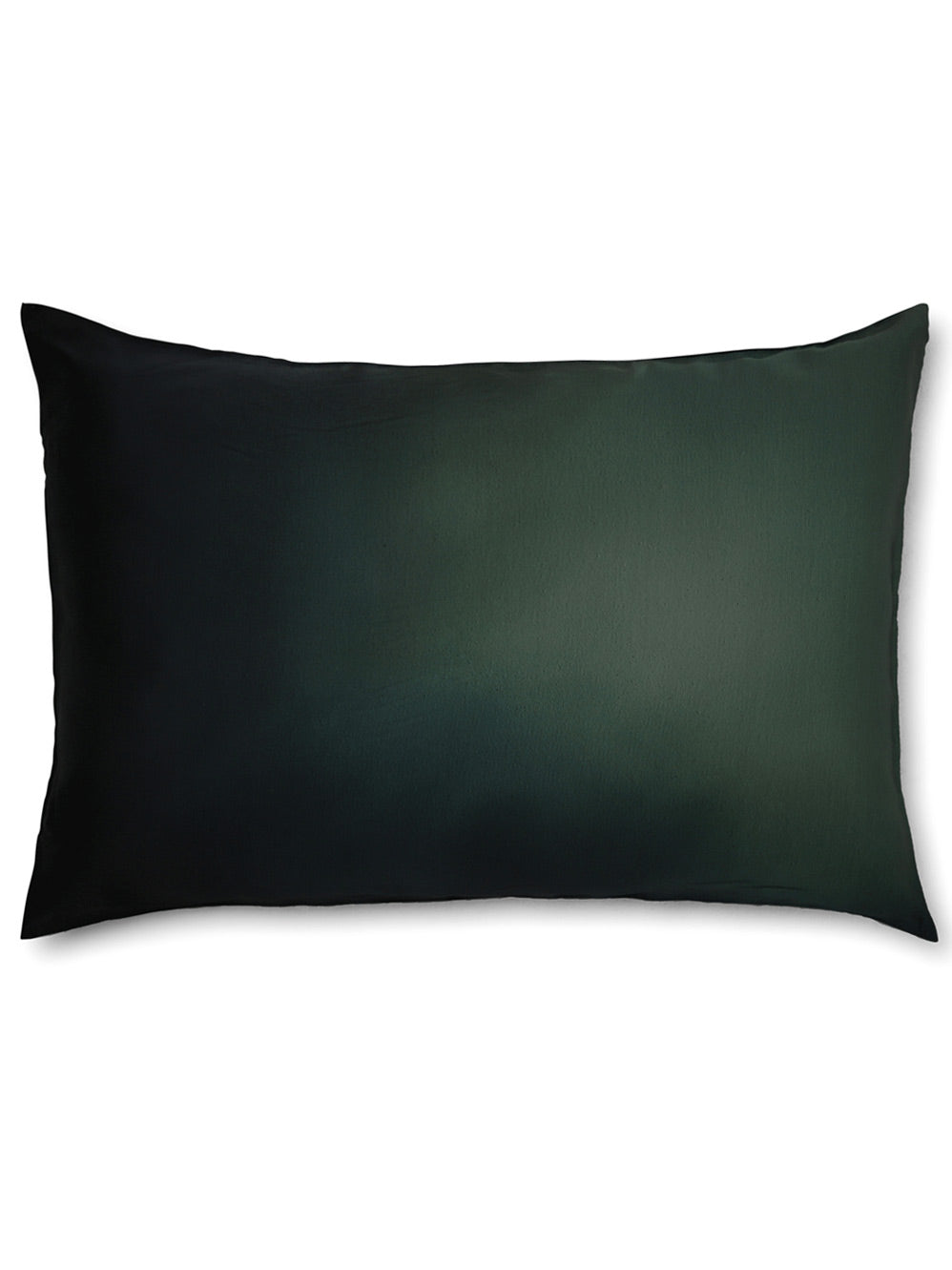 THE ARTISTS LABEL WASH OF MEMORIES SILK PILLOW CASE